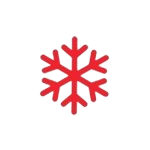 Paint Protection Film